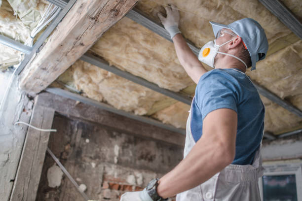 Best Spray Foam Insulation  in Treasure Lake, PA