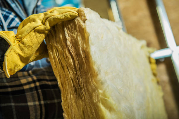Best Affordable Insulation Services  in Treasure Lake, PA