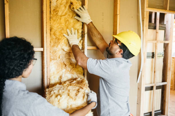 Best Professional Insulation Contractor  in Treasure Lake, PA