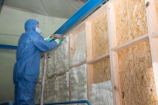 Best Insulation Inspection Services  in Treasure Lake, PA