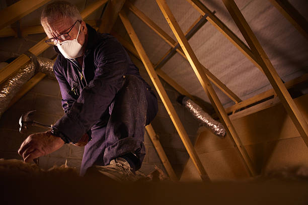 Best Residential Insulation Services  in Treasure Lake, PA