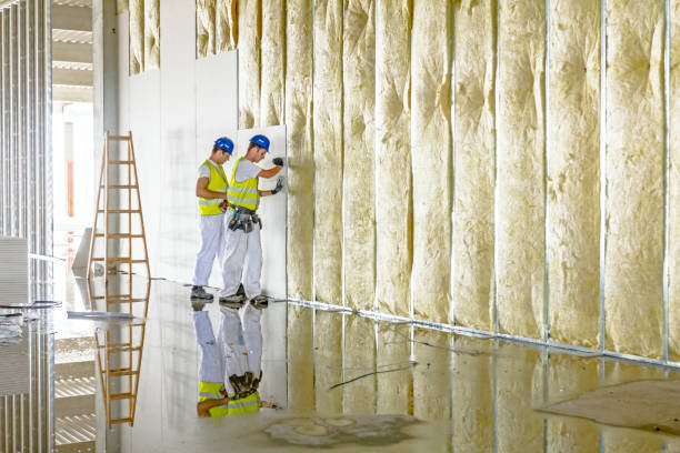 Insulation Replacement Services in Treasure Lake, PA